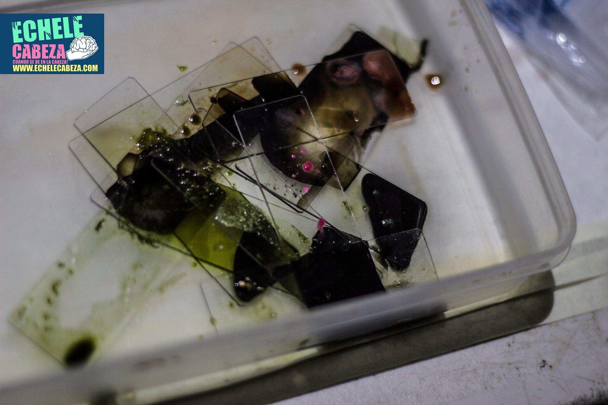 12823511_912647368833062_4572205897080136417_o