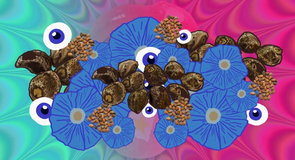 lsa amida de acido d lisergico ergina la 111