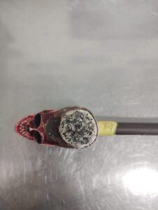 WhatsApp Image 2025 07 09 at 10.57.30 1