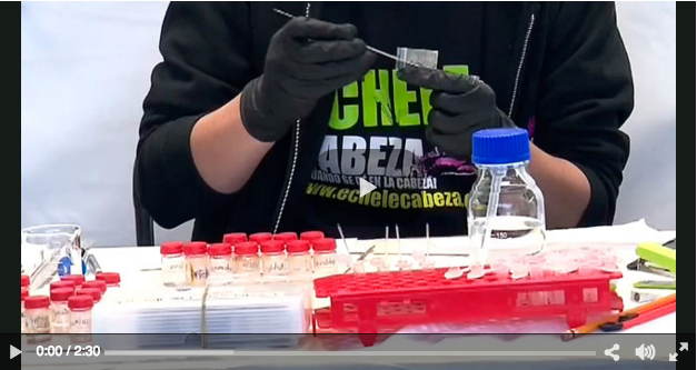 Captura de pantalla 2016-05-12 a las 11.15.15 a.m.