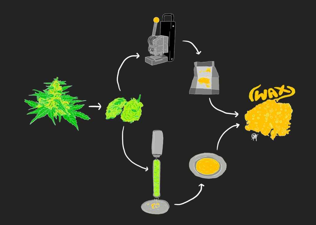 cannabis wax y otras extracciones lease bien antes de usar