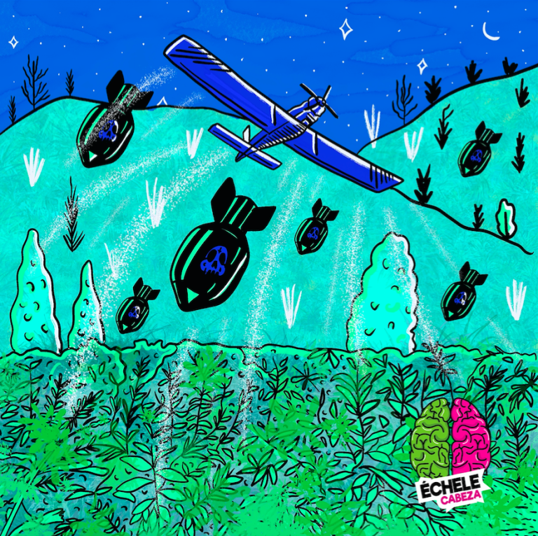 entre el fusil y el glifosato