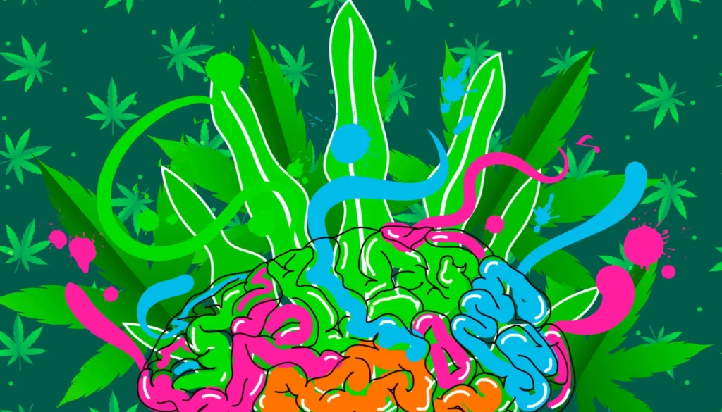 la marihuana y el cerebro de uso recreativo al abuso