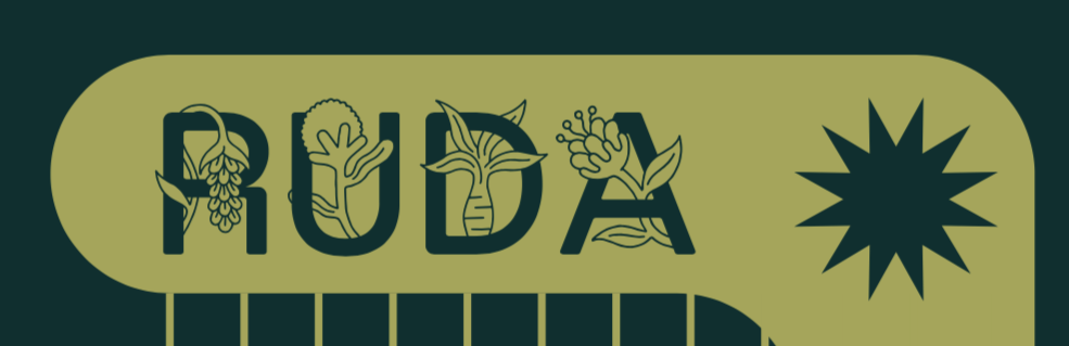 RUDA. Espacios de fiesta cuidadosos para mujeres y personas LGBTIQ+ 7 ruda